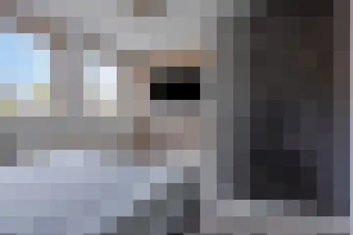 Koningspage 75 Oss thumbnail 19