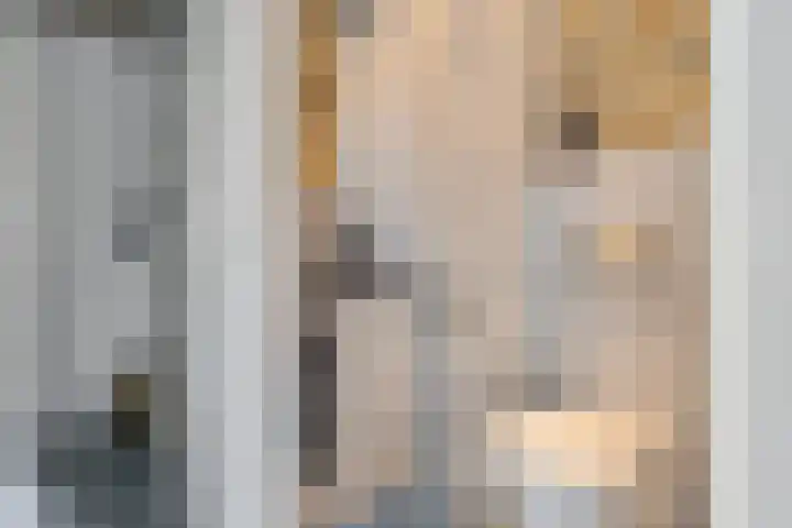 Koningspage 83 Hoogeveen thumbnail 17