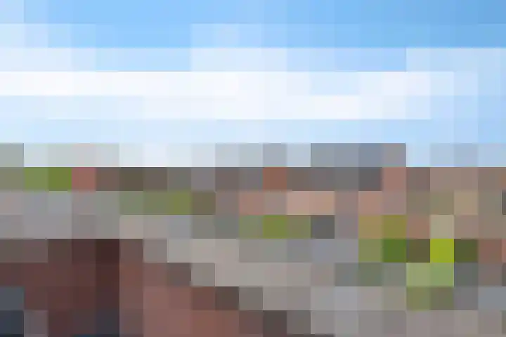 Koningspage 83 Hoogeveen thumbnail 32