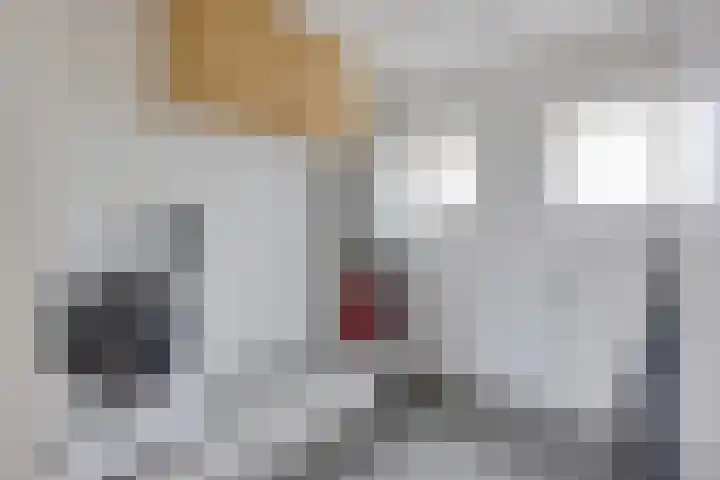 Koningspage 83 Hoogeveen thumbnail 36