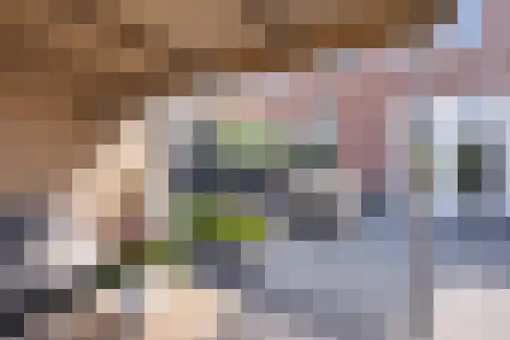 Koningspage 83 Hoogeveen thumbnail 38