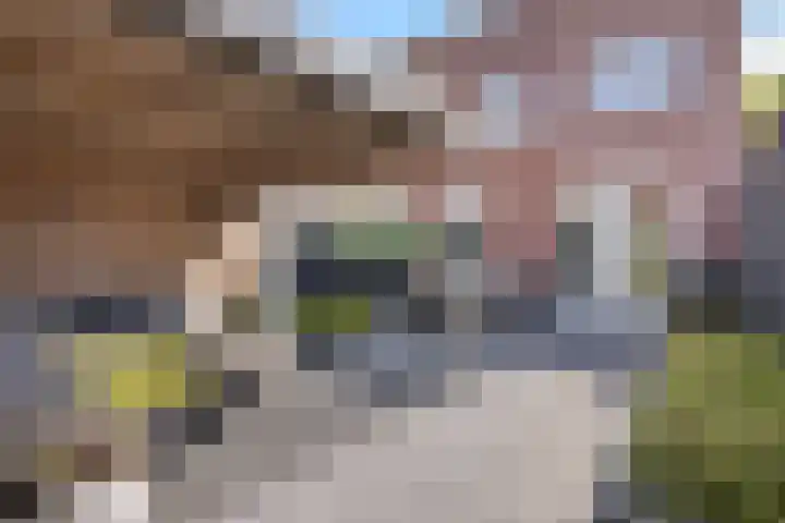 Koningspage 83 Hoogeveen thumbnail 4