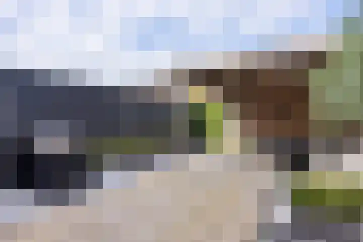 Koningspage 83 Hoogeveen thumbnail 42