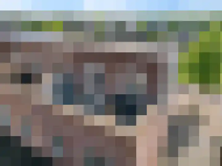 Koningspage 83 Hoogeveen thumbnail 47