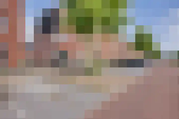 Koningspage 83 Hoogeveen thumbnail 50