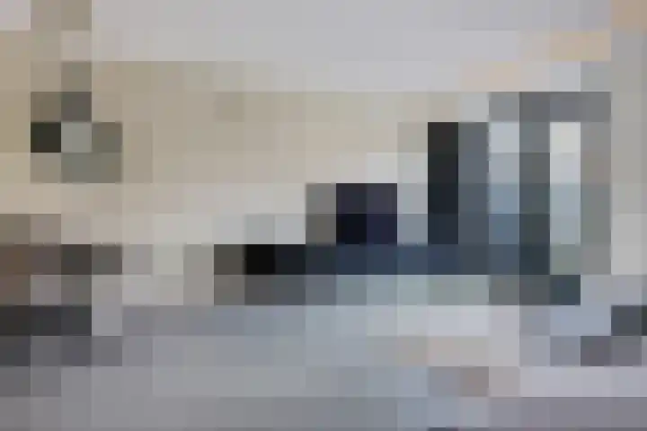 Koningspage 83 Hoogeveen thumbnail 8