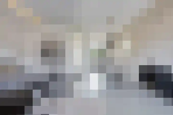Koningspage 83 Hoogeveen thumbnail 9