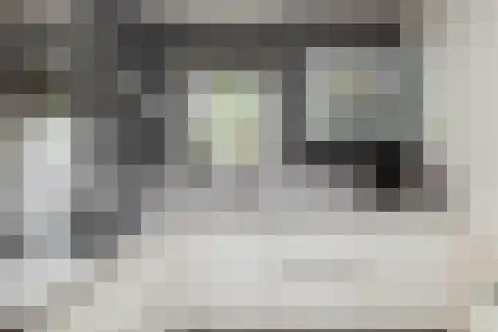 Koningspage 86 Hoogeveen thumbnail 15