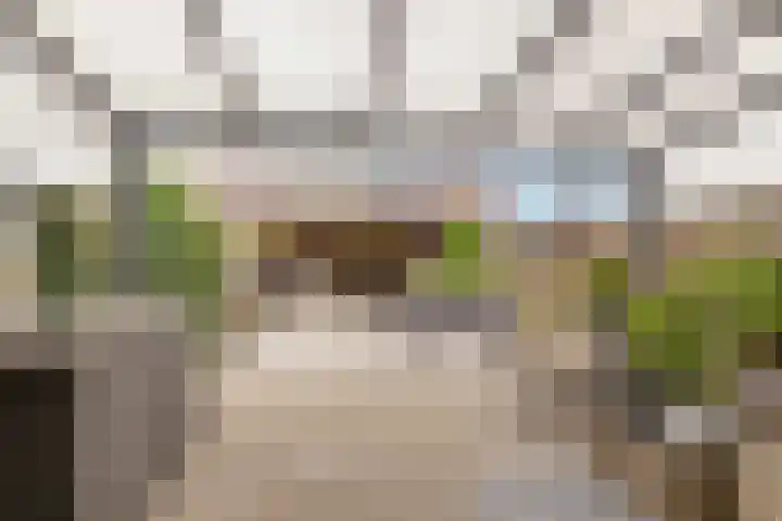 Koningspage 86 Hoogeveen thumbnail 31