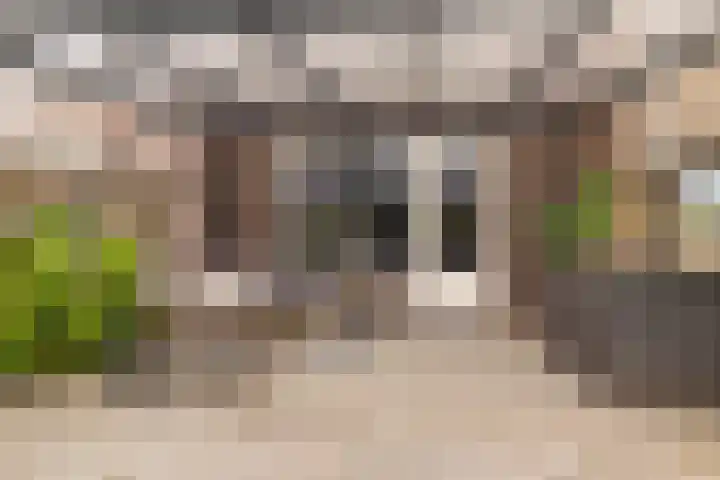 Koningspage 86 Hoogeveen thumbnail 34