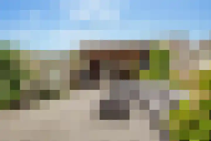 Koningspage 86 Hoogeveen thumbnail 36