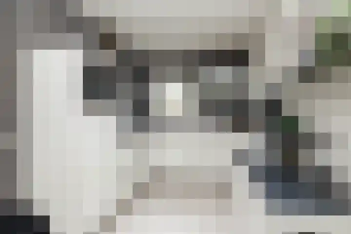 Koningspage 86 Hoogeveen thumbnail 4