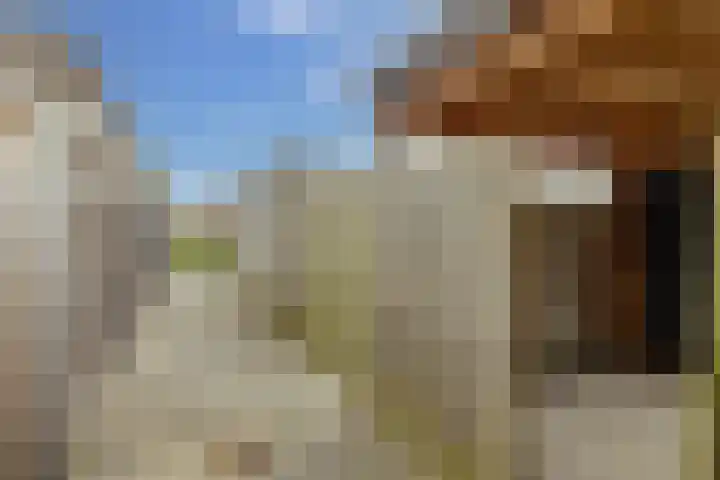 Koningspage 86 Hoogeveen thumbnail 41