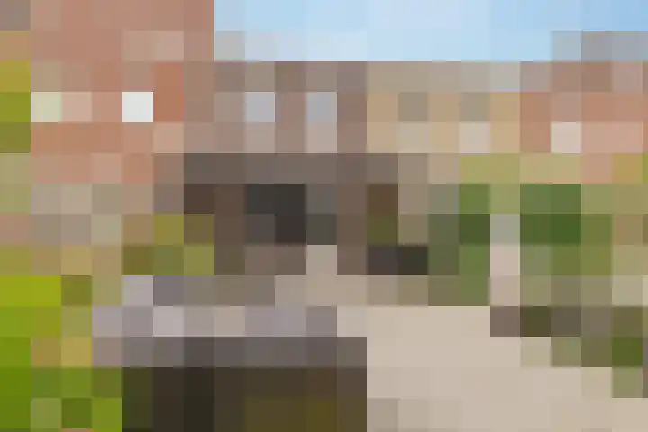 Koningspage 86 Hoogeveen thumbnail 42