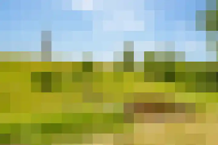 Koningspage 86 Hoogeveen thumbnail 49