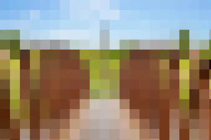 Koningspage 86 Hoogeveen thumbnail 50