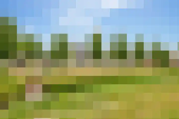 Koningspage 86 Hoogeveen thumbnail 51