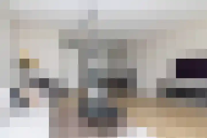 Koningspage 87 Hoogeveen thumbnail 11