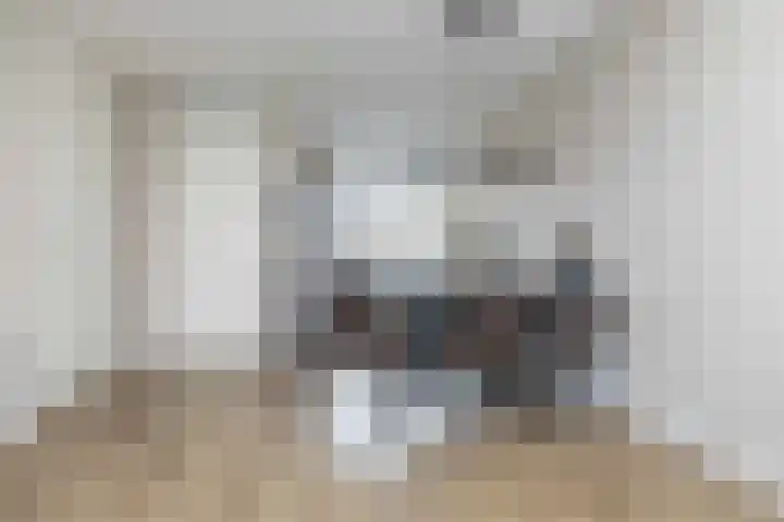 Koningspage 87 Hoogeveen thumbnail 13