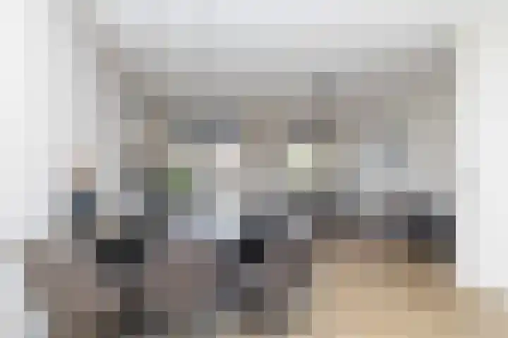 Koningspage 87 Hoogeveen thumbnail 19