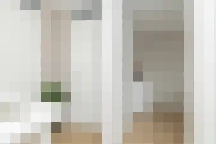 Koningspage 87 Hoogeveen thumbnail 22