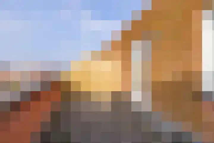 Koningspage 87 Hoogeveen thumbnail 41