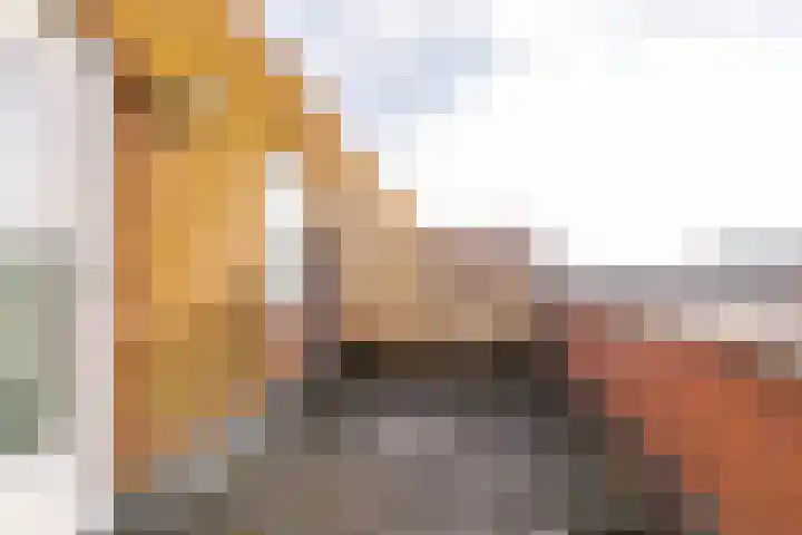 Koningspage 87 Hoogeveen thumbnail 42