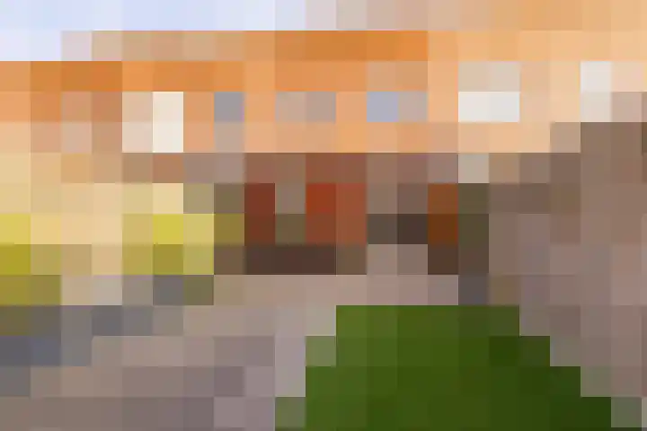 Koningspage 87 Hoogeveen thumbnail 45