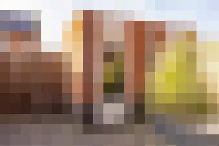 Koningspage 87 Hoogeveen thumbnail 47