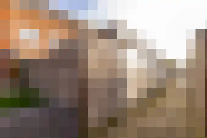 Koningspage 87 Hoogeveen thumbnail 50