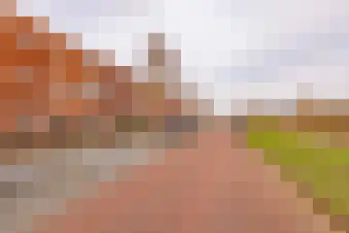 Koningspage 87 Hoogeveen thumbnail 57