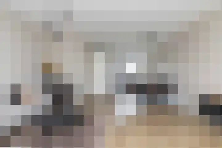 Koningspage 87 Hoogeveen thumbnail 9