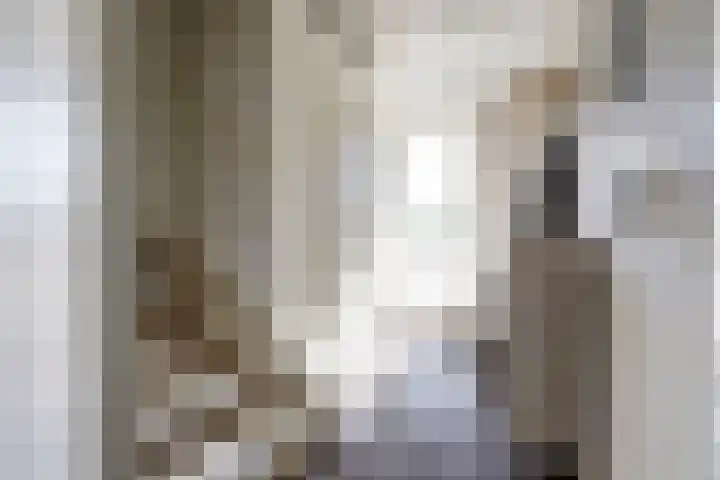 Koningspage 95 Hoogeveen thumbnail 12