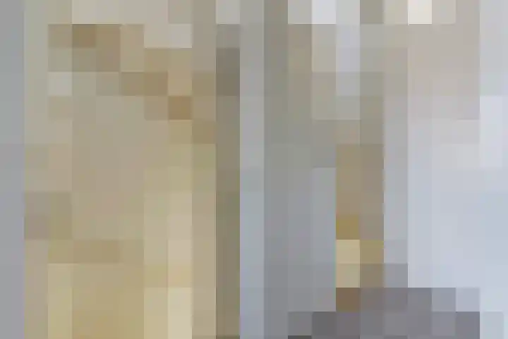 Koningspage 95 Hoogeveen thumbnail 22