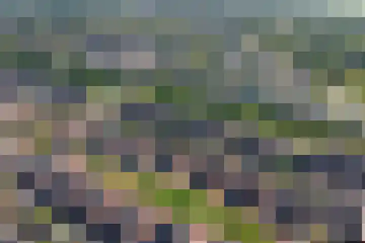 Koningspage 95 Hoogeveen thumbnail 30