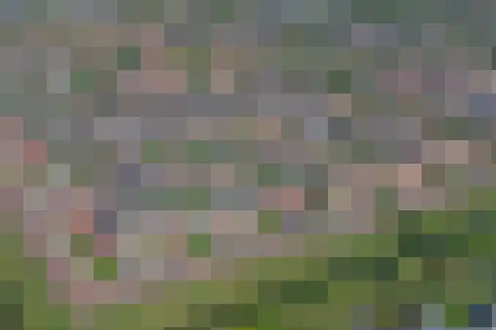 Koningspage 95 Hoogeveen thumbnail 32