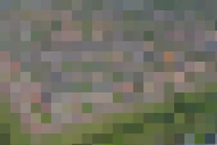 Koningspage 95 Hoogeveen thumbnail 5