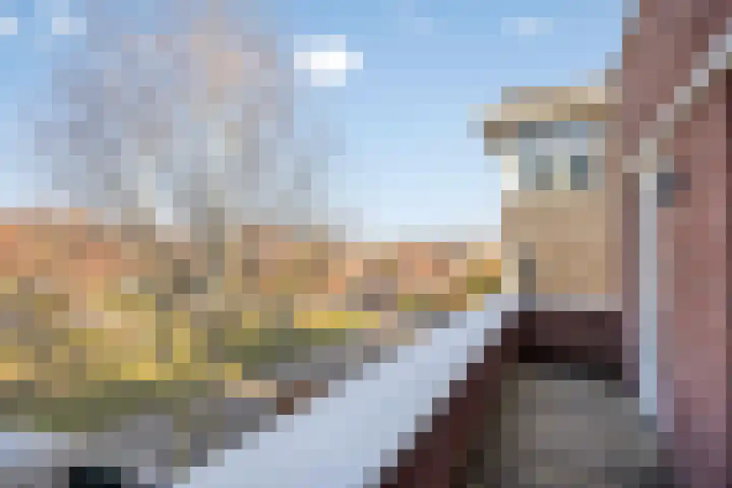 Koningspagehof 17 Oosterhout thumbnail 26
