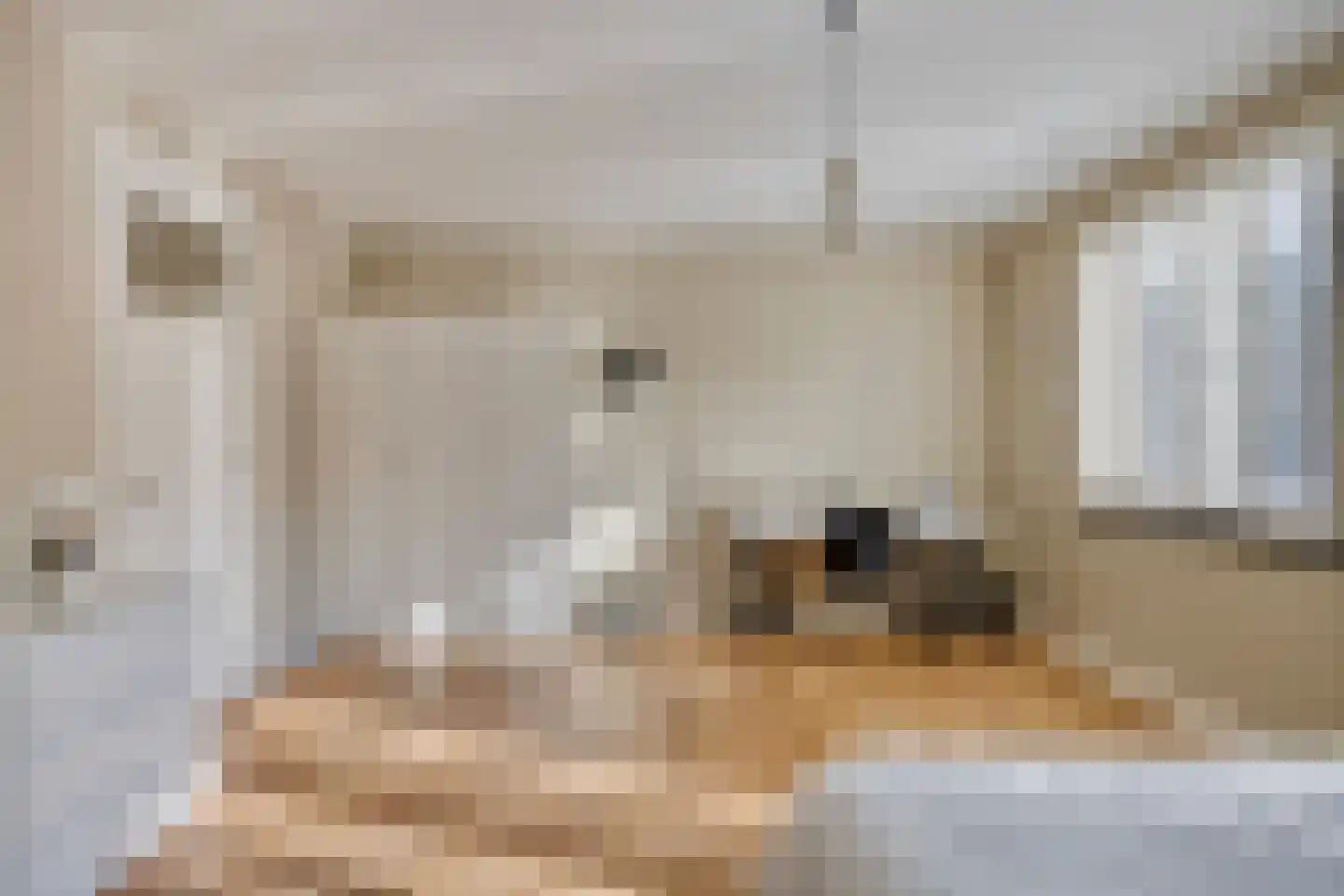 Koningspagehof 17 Oosterhout thumbnail 28