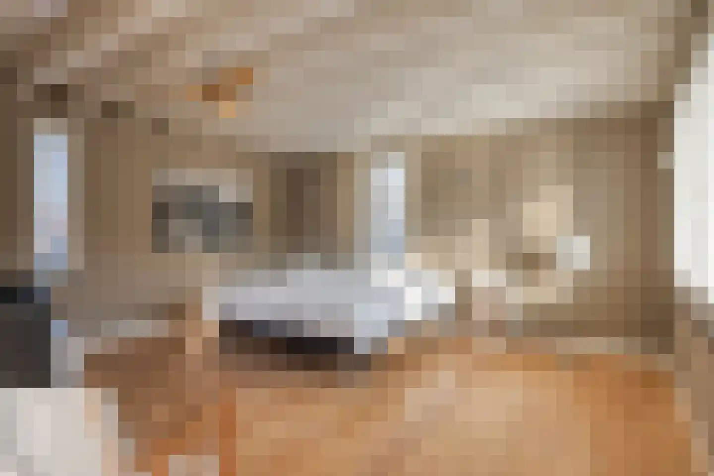 Koningspagehof 17 Oosterhout thumbnail 34