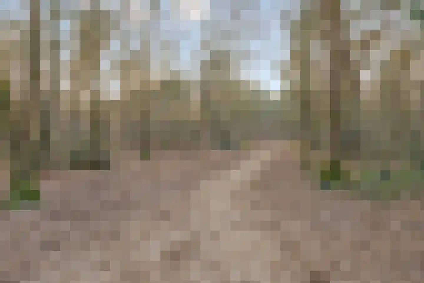 Koningspagehof 17 Oosterhout thumbnail 47