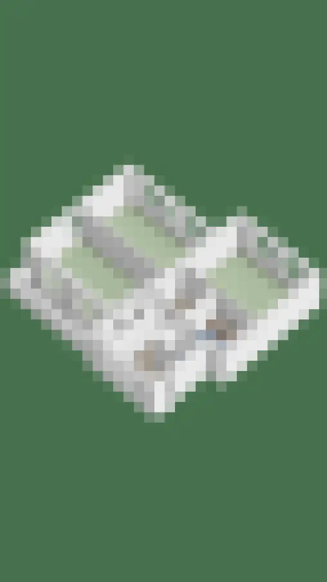 Koningspagehof 17 Oosterhout thumbnail 53