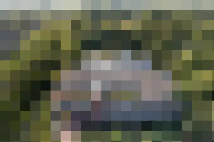 Koningspark 12 Harmelen thumbnail 28