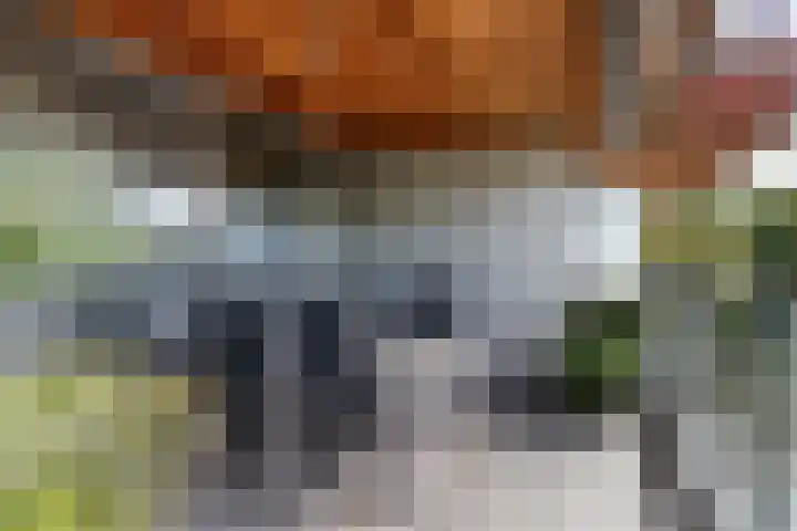 Koningspark 12 Harmelen thumbnail 4