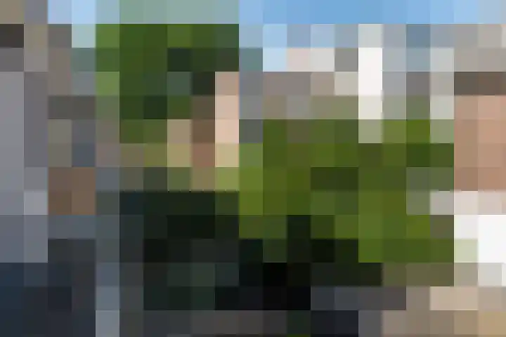 Koningsplein 11 A Den Haag thumbnail 19