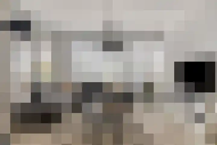 Koningsplein 300 Tilburg thumbnail 11