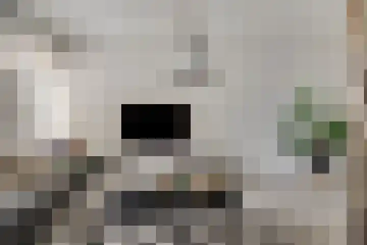 Koningsplein 300 Tilburg thumbnail 12