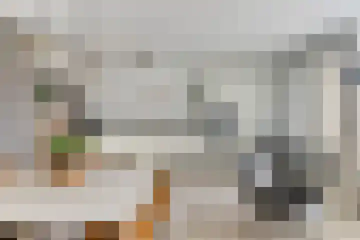 Koningsplein 300 Tilburg thumbnail 16