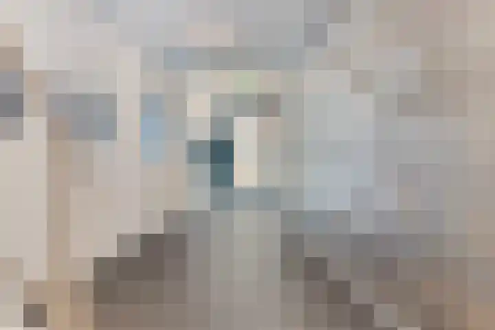 Koningsplein 300 Tilburg thumbnail 4