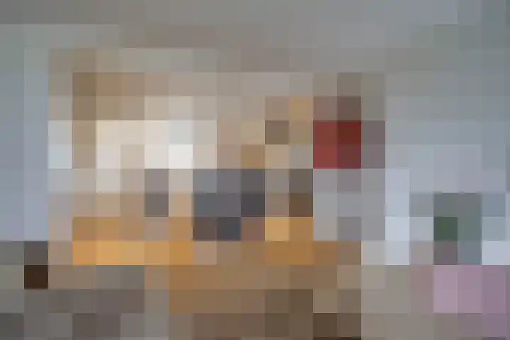 Koningsplein 305 Tilburg thumbnail 18
